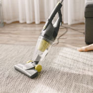 Steam cleaners